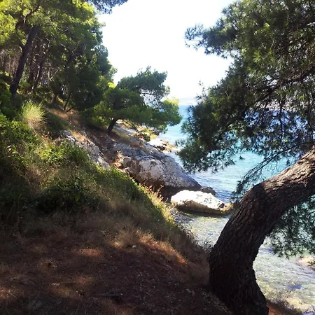 Appartement Punta *